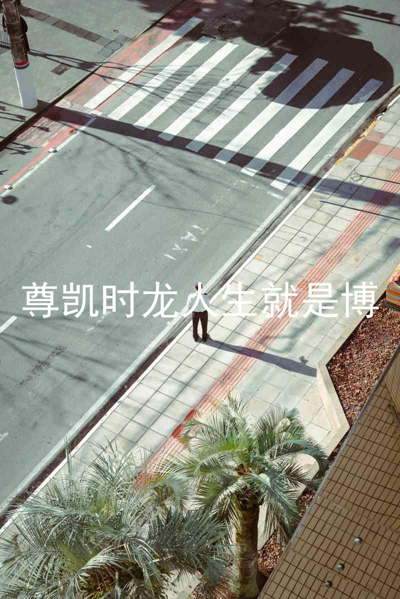 尊凯时龙人生就是博