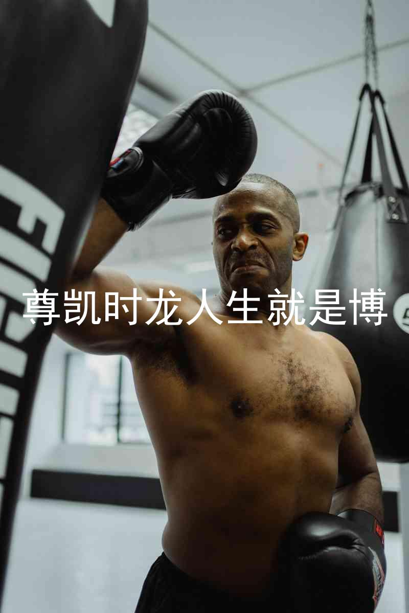 尊凯时龙人生就是博